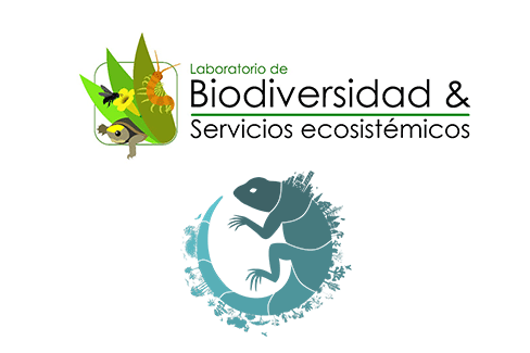 laboratorio-de-biodiversidad-y-servicios-ecositémicos