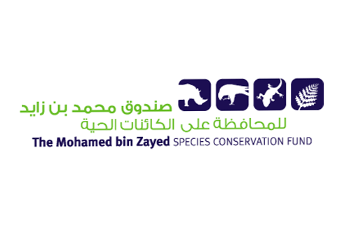 the-mohamed-bin-zayed